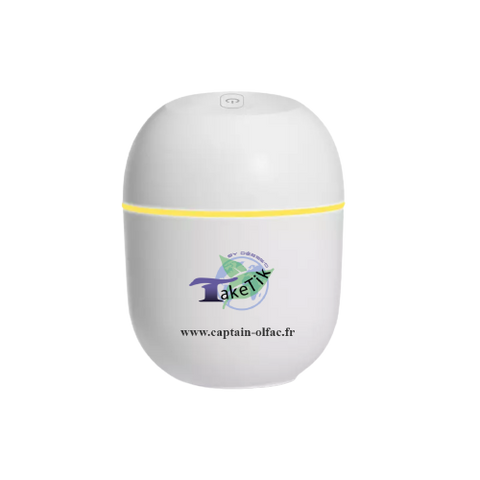 TAKETIK Deess'o diffuser